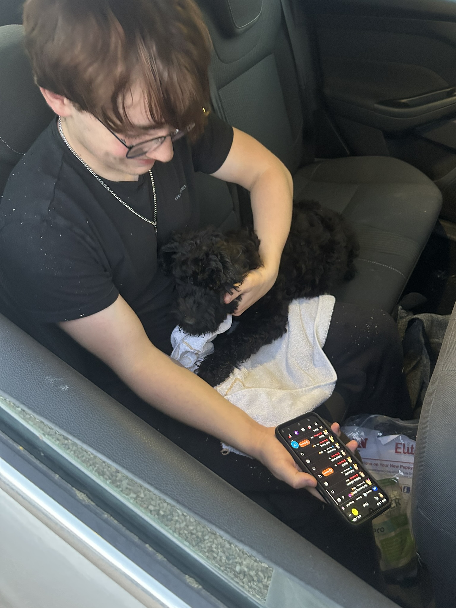 Introducing Bella